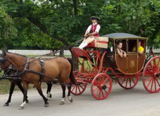 The Ultimate Williamsburg Virginia Gift Guide