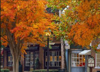 The Best of Williamsburg in November 2018