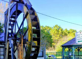 Exclusive Discount: Anvil Campground