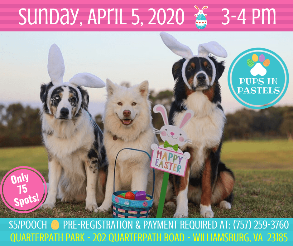 williamsburg virginia things to do easter pups in pastels