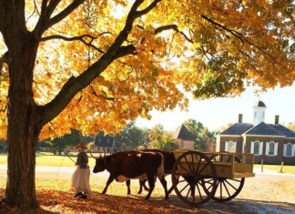ROCKEFELLER’S SPEAKEASY williamsburgvisitor_fall_colors_colonial_williamsburgVA