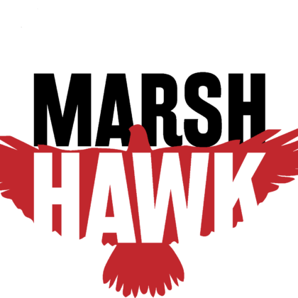 Williamsurg Virginia Live Music Finder Marsh Hawks0