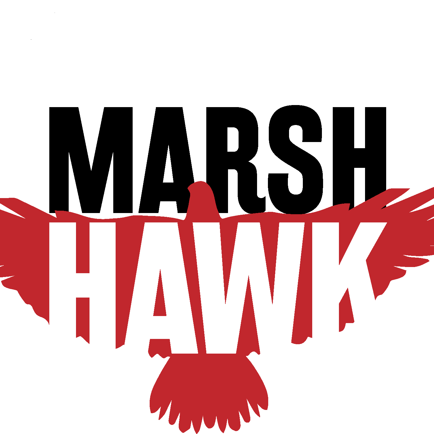 Williamsurg Virginia Live Music Finder Marsh Hawks0