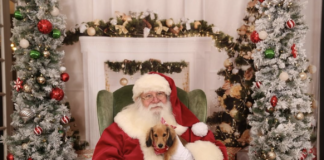 Where To Find Santa Claus In Williamsburg Virginia Williamsburg Virginia where to find santa claus