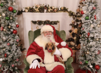 Where To Find Santa Claus In Williamsburg Virginia Williamsburg Virginia where to find santa claus