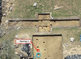 Colonial Williamsburg-New Discoveries Found At John Custis’s garden williamsburg virginia custis square3