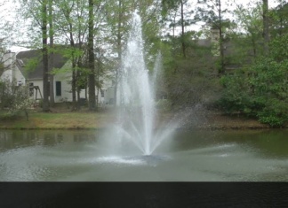 Berkeley’s Green Neighborhood Video Tour