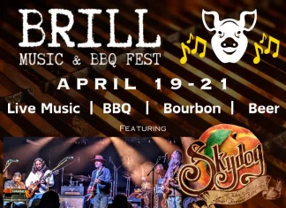 Williamsburg Virginia Brill Music & BBQ Festival 2024 williamsburg virginia things to do brill music and bbq