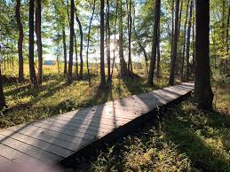 Virginia capital trail greensprings